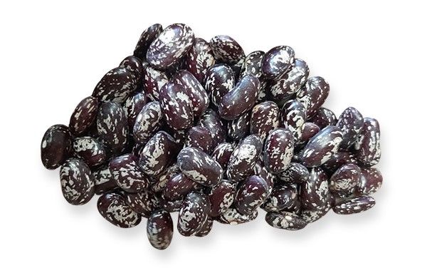 لوبیا چیتی صنعتی