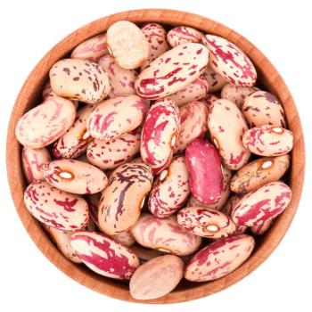 لوبیا چیتی کرم